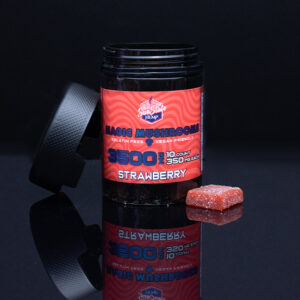 Buy Mushroom infused Gummies at affordable prices - Deadhead Chemist